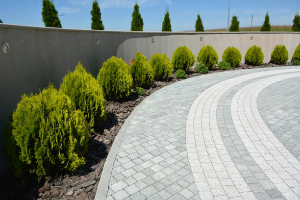 Best Local Driveway Pavers  in Haleiwa, HI